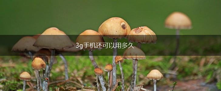 3g手机还可以用多久,第1张