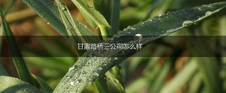 甘肃路桥三公司怎么样,第1张
