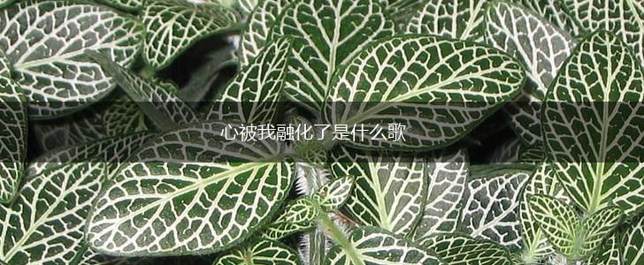心被我融化了是什么歌,第1张