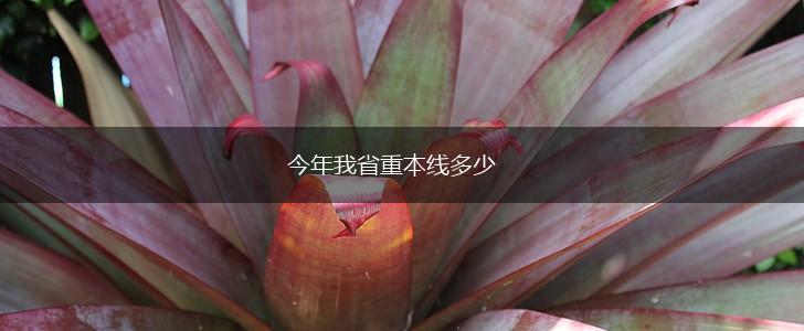 今年我省重本线多少,第1张