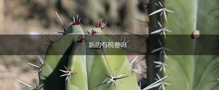 新房有税费吗,第1张