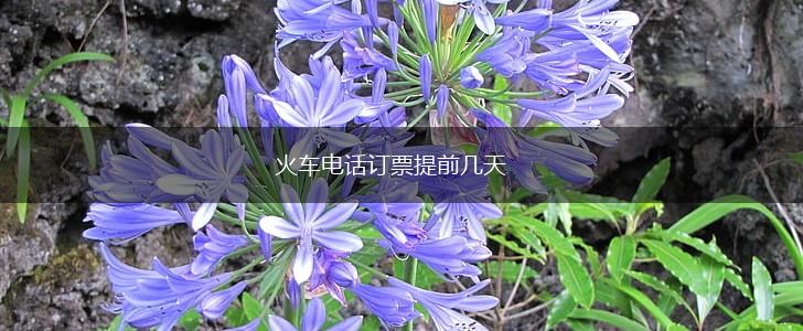 火车电话订票提前几天,第1张