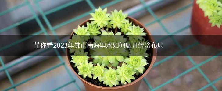 带你看2023年佛山南海里水如何展开经济布局,第1张