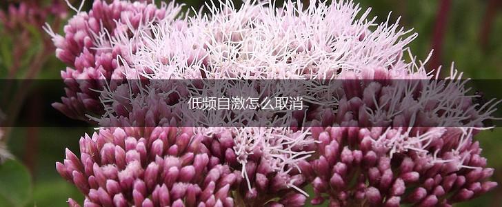 低频自激怎么取消,第1张