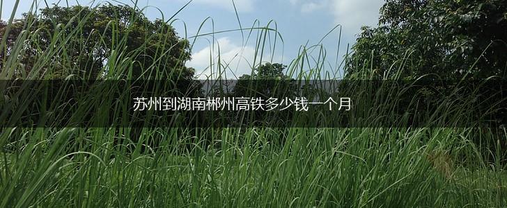 苏州到湖南郴州高铁多少钱一个月,第1张