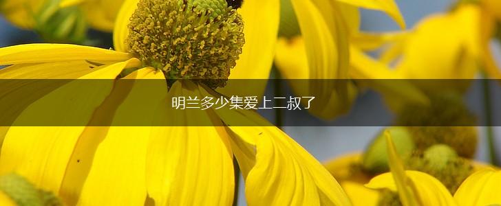 明兰多少集爱上二叔了,第1张
