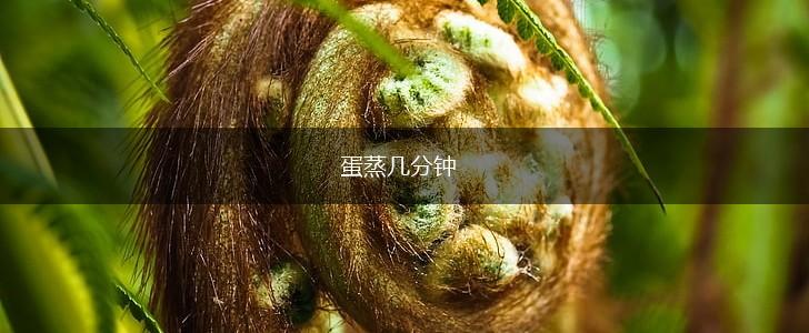 蛋蒸几分钟,第1张