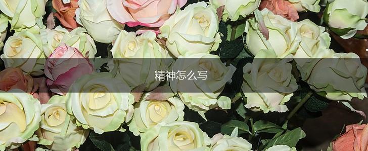 精神怎么写,第1张