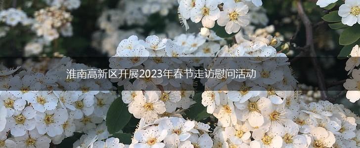 淮南高新区开展2023年春节走访慰问活动,第1张