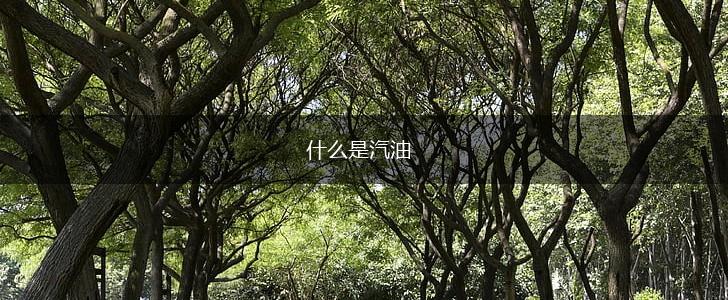 什么是汽油,第1张