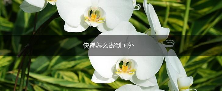 快递怎么寄到国外,第1张
