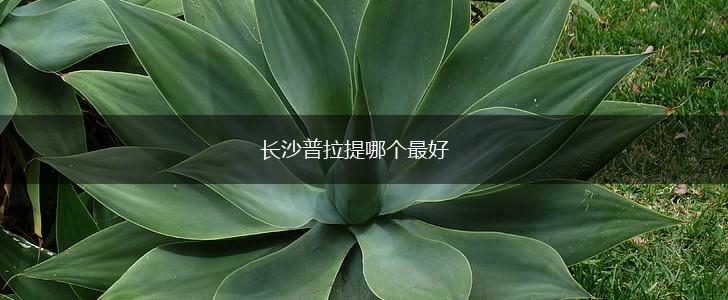 长沙普拉提哪个最好,第1张