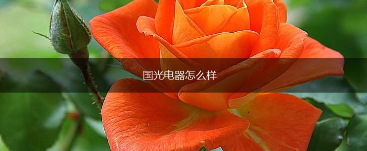 国光电器怎么样,第1张