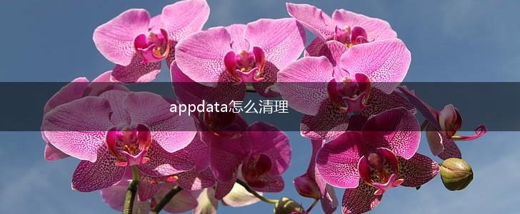 appdata怎么清理,第1张
