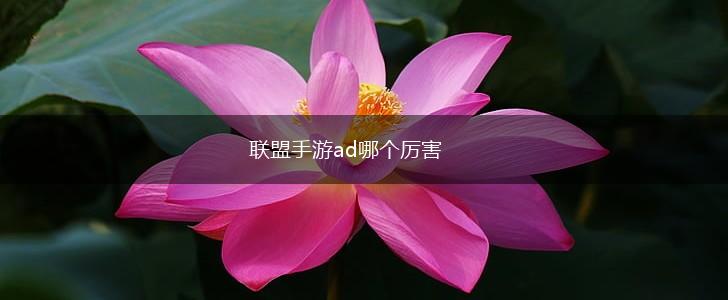 联盟手游ad哪个厉害,第1张