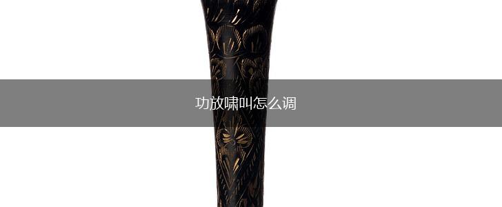 功放啸叫怎么调,第1张