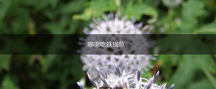 哪里吃铁锅鱼,第1张