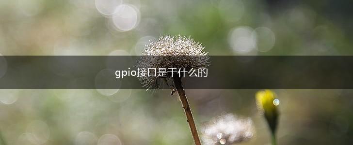 gpio接口是干什么的,第1张