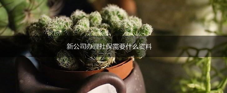 新公司办理社保需要什么资料,第1张