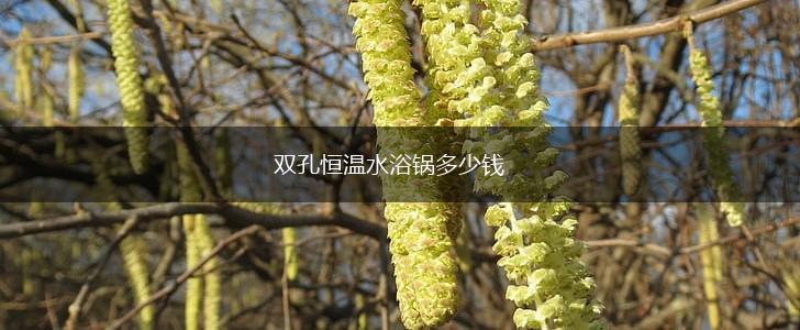 双孔恒温水浴锅多少钱,第1张