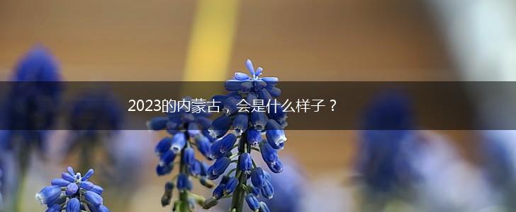 2023的内蒙古，会是什么样子？,第1张
