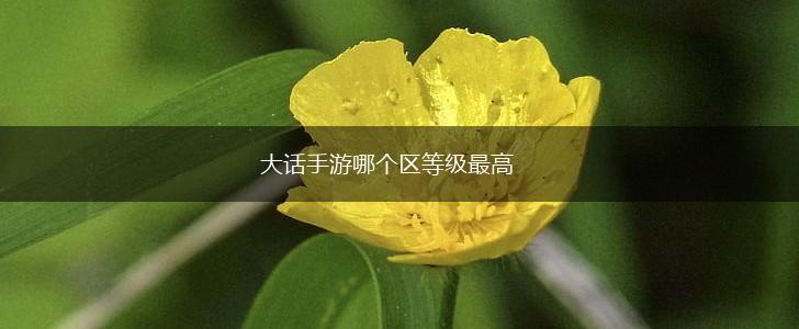 大话手游哪个区等级最高,第1张