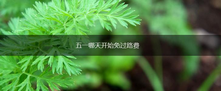 五一哪天开始免过路费,第1张