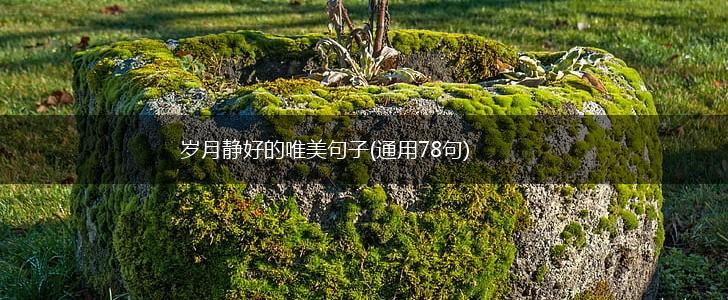 岁月静好的唯美句子(通用78句),第1张