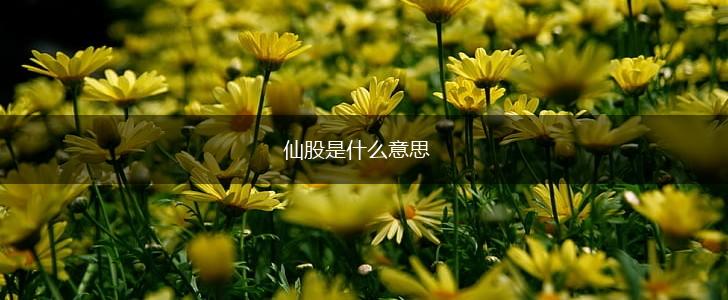 仙股是什么意思,第1张