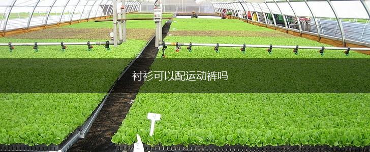 衬衫可以配运动裤吗,第1张