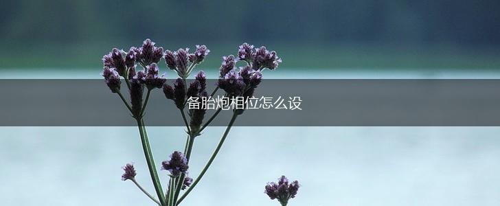 备胎炮相位怎么设,第1张