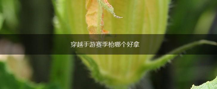 穿越手游赛季枪哪个好拿,第1张