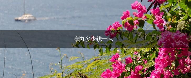 碳九多少钱一吨,第1张