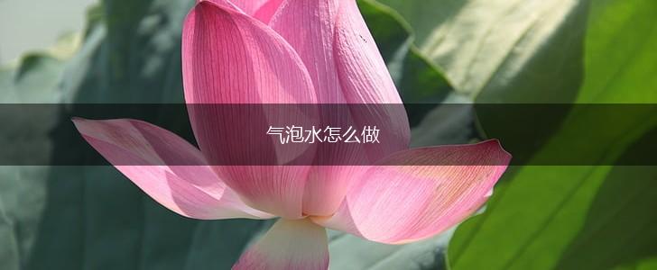 气泡水怎么做,第1张