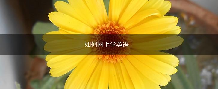如何网上学英语,第1张