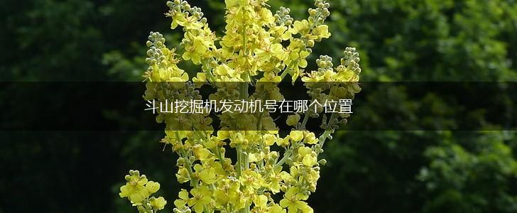斗山挖掘机发动机号在哪个位置,第1张