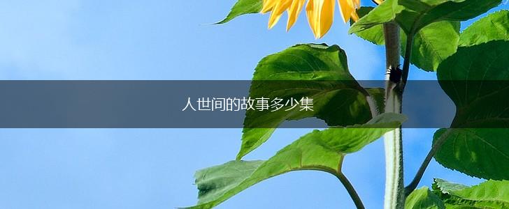 人世间的故事多少集,第1张