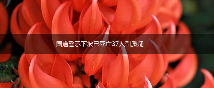 国道警示下坡已死亡37人引质疑,第1张