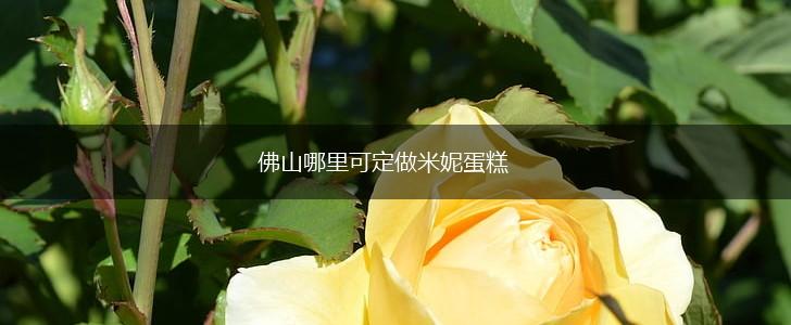 佛山哪里可定做米妮蛋糕,第1张