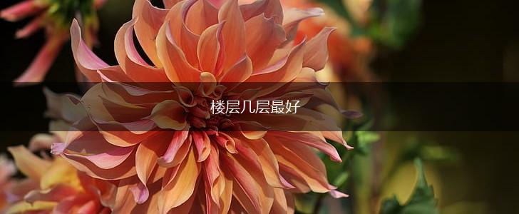 楼层几层最好,第1张