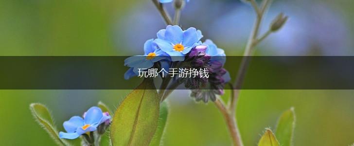 玩哪个手游挣钱,第1张
