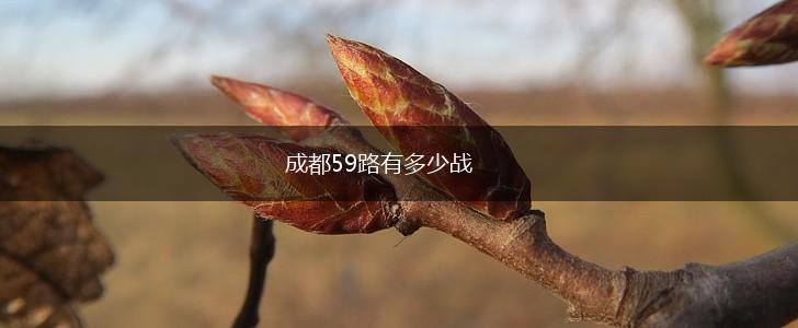 成都59路有多少战,第1张