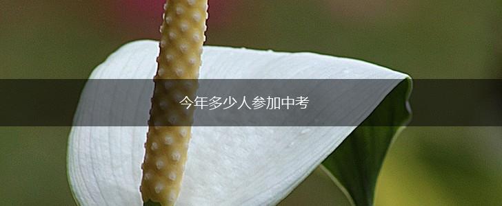 今年多少人参加中考,第1张