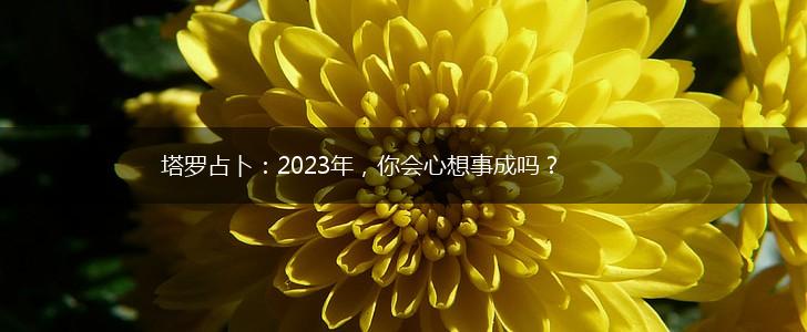 塔罗占卜：2023年，你会心想事成吗？,第1张