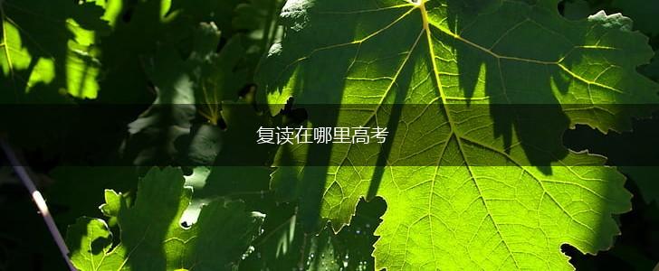 复读在哪里高考,第1张