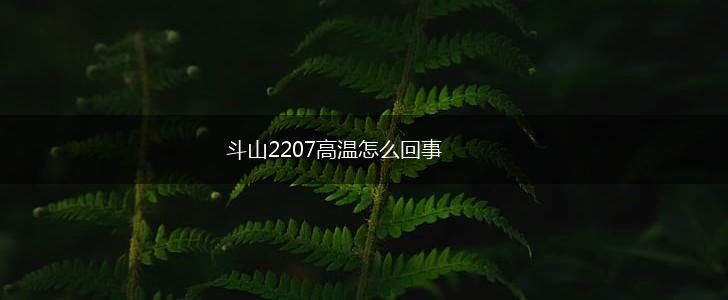 斗山2207高温怎么回事,第1张
