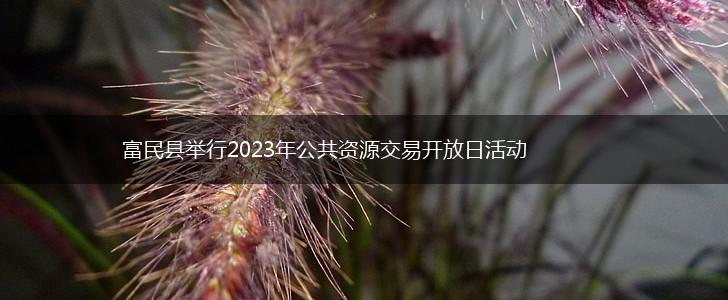 富民县举行2023年公共资源交易开放日活动,第1张