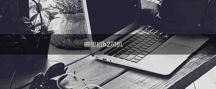 哪里招b2司机,第1张