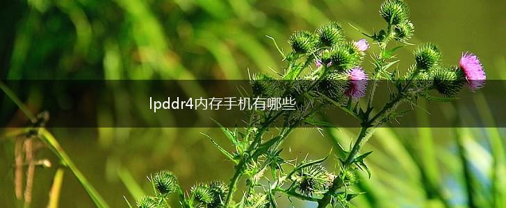 lpddr4内存手机有哪些,第1张