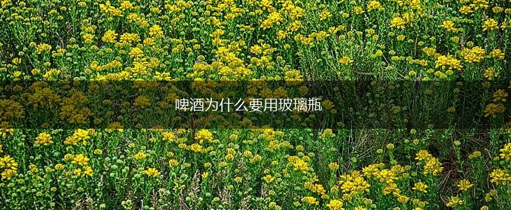 啤酒为什么要用玻璃瓶,第1张